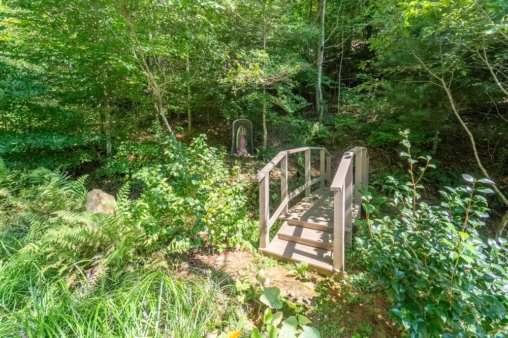 Iris Lane Whittier, NC 28789