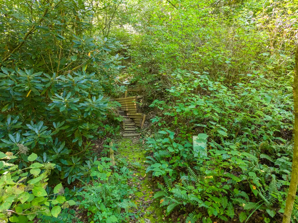 Iris Lane Whittier, NC 28789