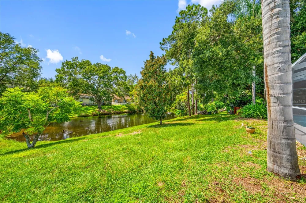 11925 CEDARFIELD DRIVE Riverview, FL 33579