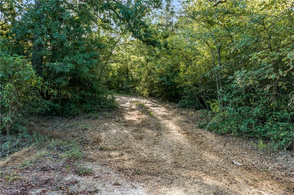 5209 Bucksnort Road Franklin, TX 77856