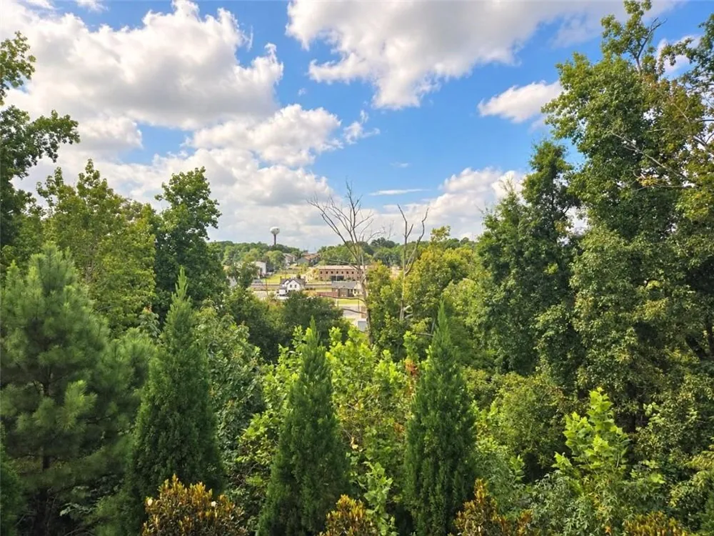 5440 Falling Branch Court Flowery Branch, GA 30542