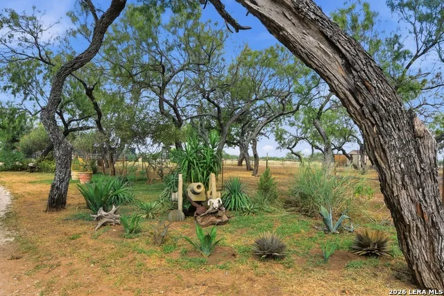 3033 St Hwy 132 N Natalia, TX 78059