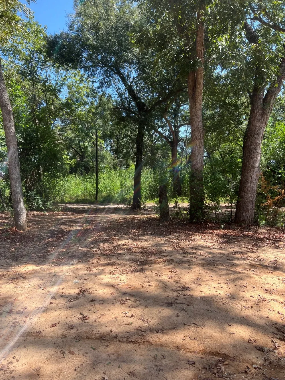 3778 Hwy 14 Mexia, TX 76667
