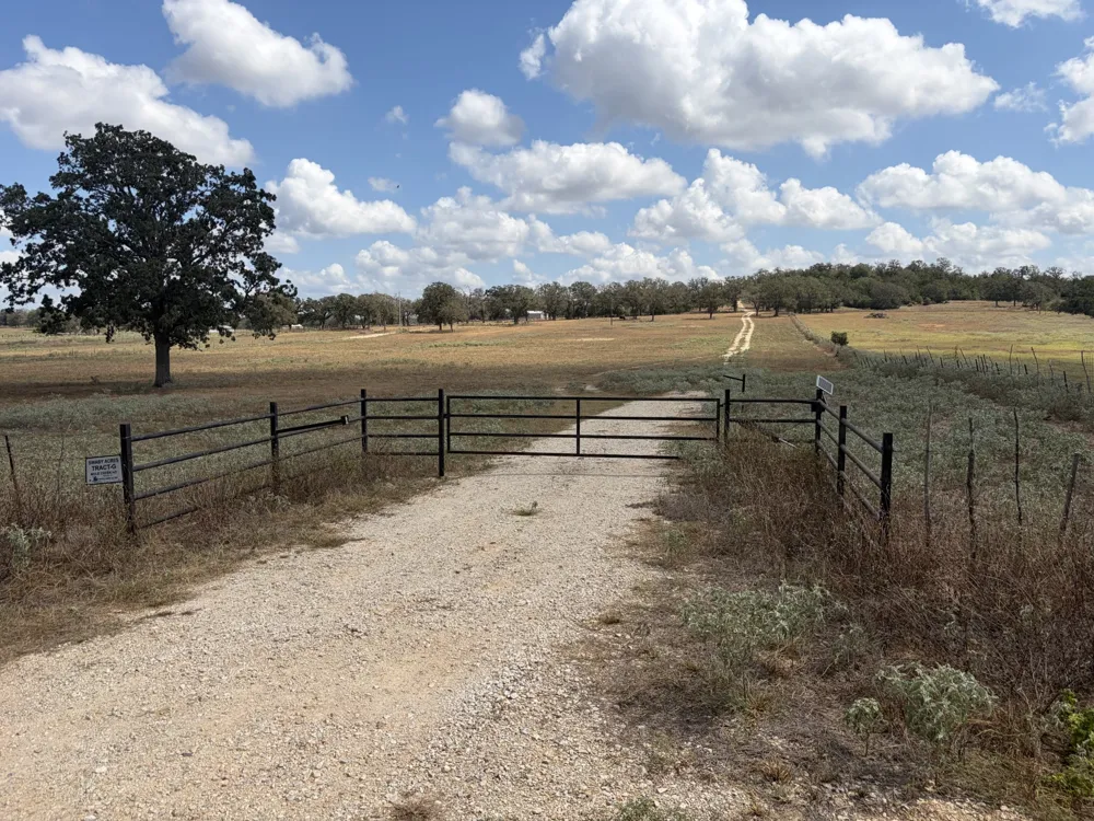 3233 Mule Creek Road Harwood, TX 78632
