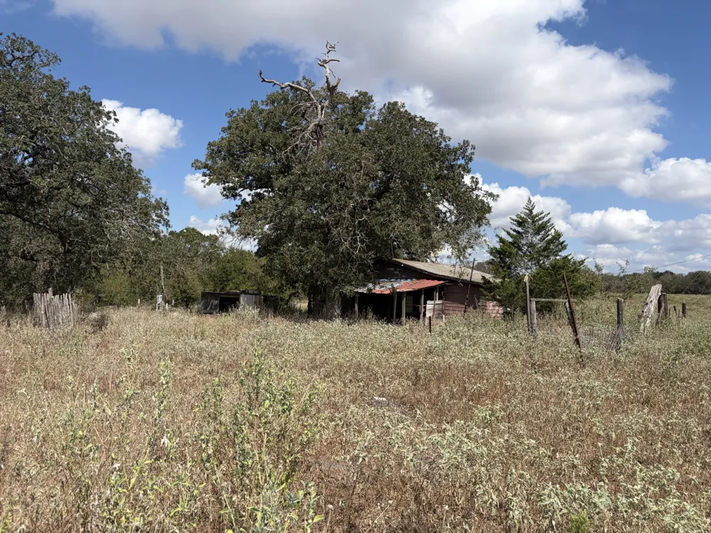 3233 Mule Creek Road Harwood, TX 78632