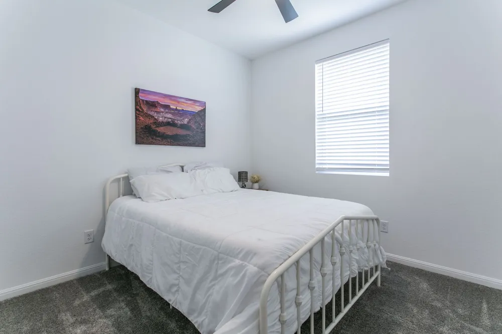228 Citation Drive Jarrell, TX 76537