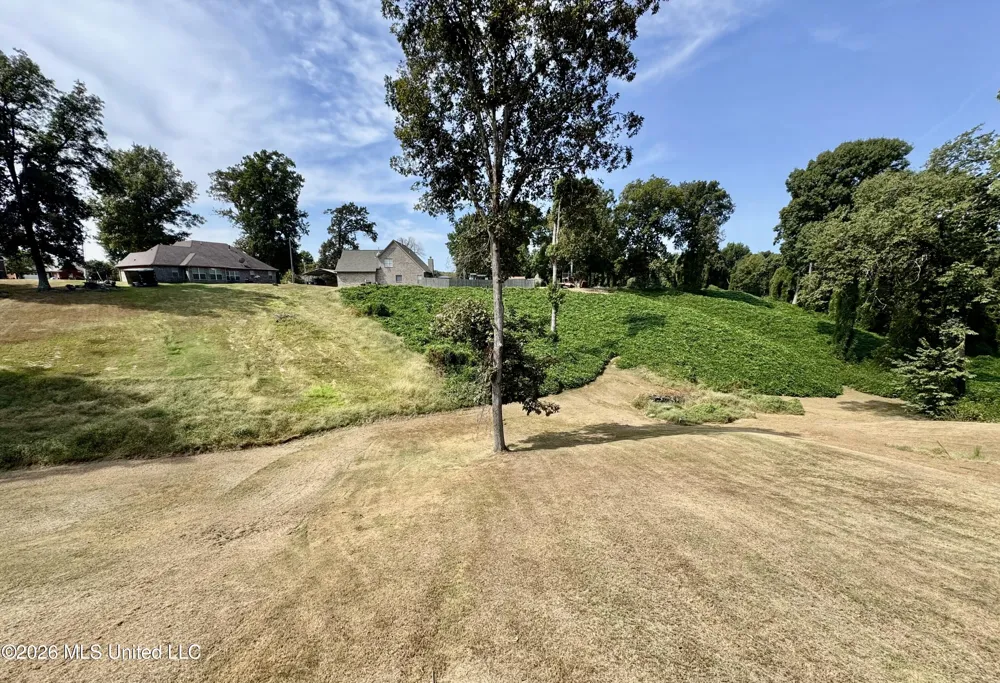 119 American River Drive Lake Cormorant, MS 38641