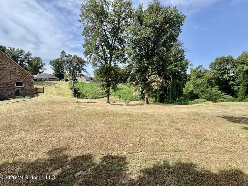 119 American River Drive Lake Cormorant, MS 38641