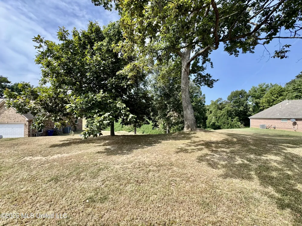 119 American River Drive Lake Cormorant, MS 38641
