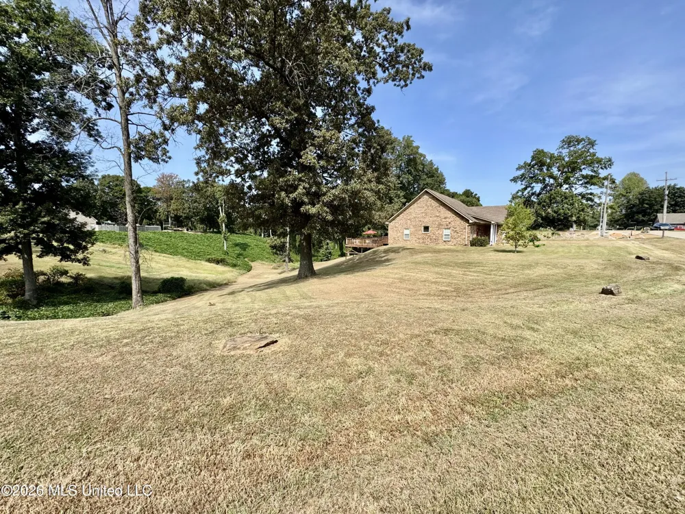 119 American River Drive Lake Cormorant, MS 38641