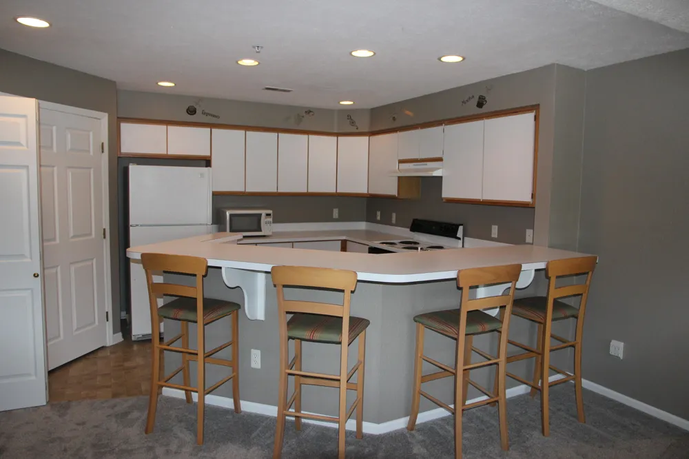 1376 Heatherwood Lane Pittsfield Charter Township, MI 48108