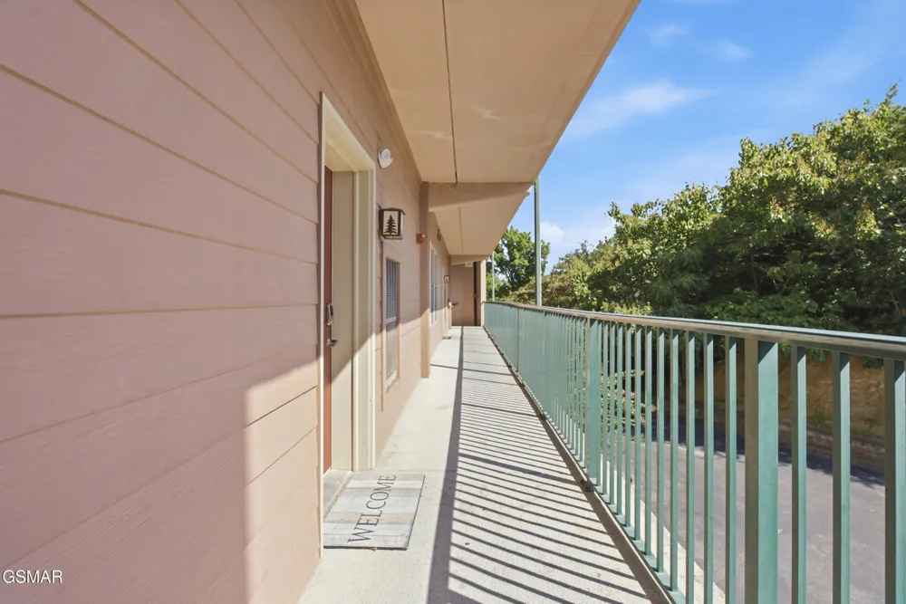 410 Big Bear Way #3002 Pigeon Forge, TN 37863