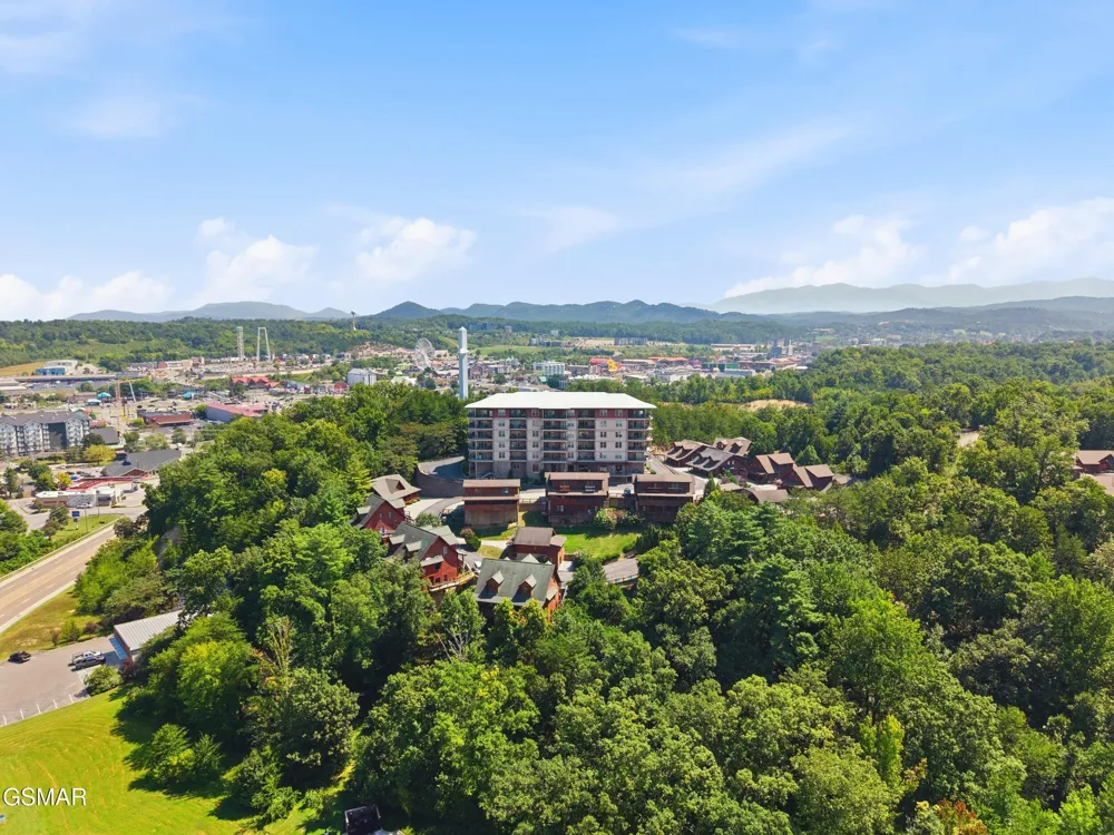 410 Big Bear Way #3002 Pigeon Forge, TN 37863