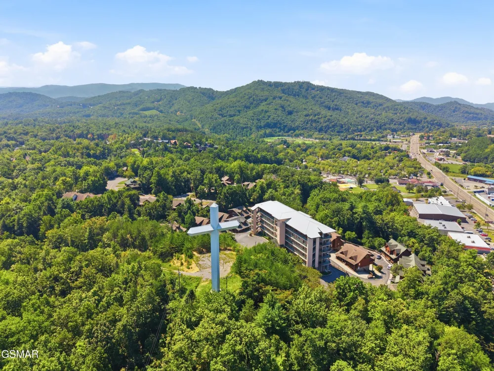 410 Big Bear Way #3002 Pigeon Forge, TN 37863