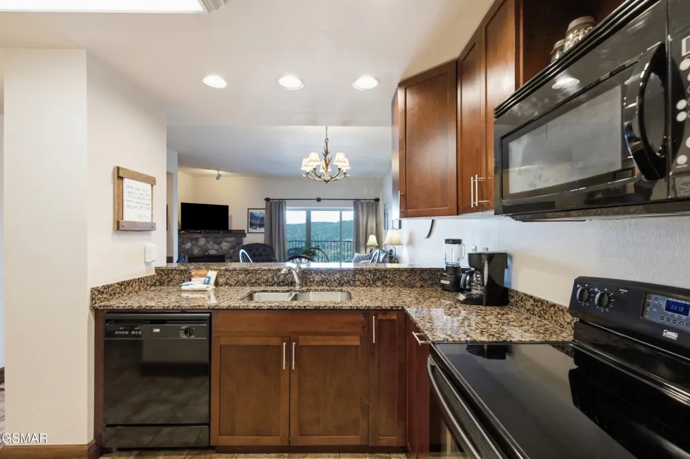 410 Big Bear Way #3002 Pigeon Forge, TN 37863
