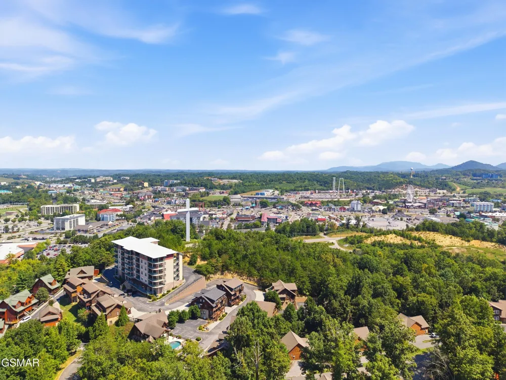 410 Big Bear Way #3002 Pigeon Forge, TN 37863