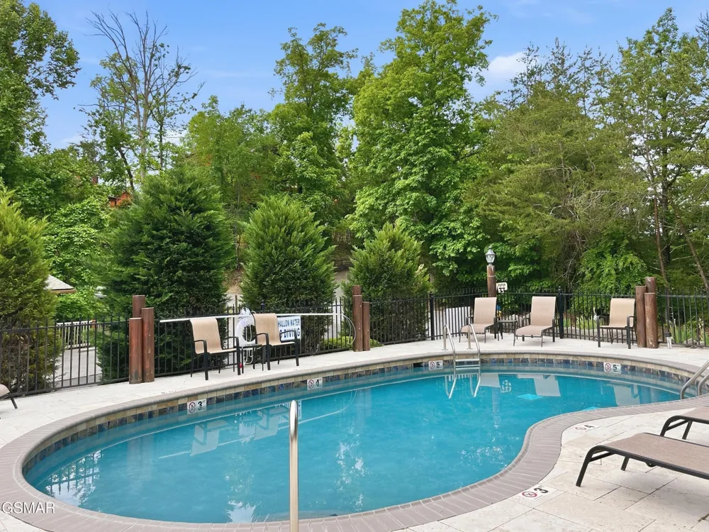 410 Big Bear Way #3002 Pigeon Forge, TN 37863