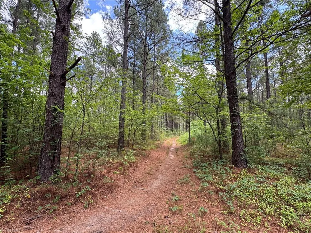 1215 Sherron Road Durham, NC 27703