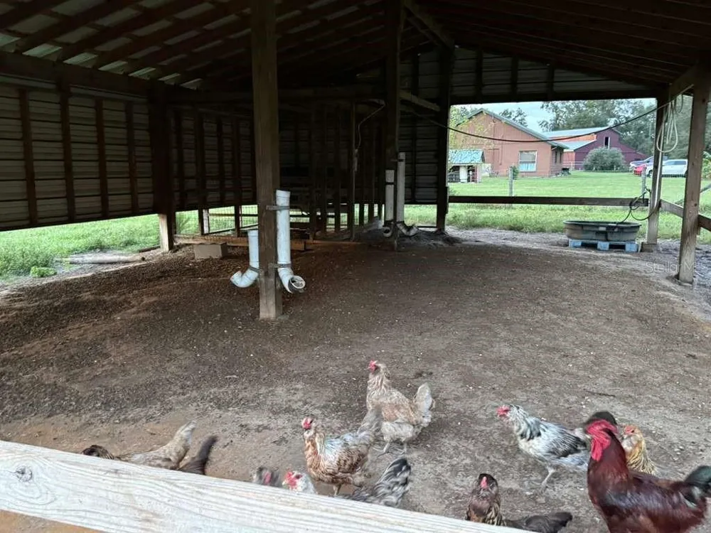 28046 BAYHEAD ROAD Dade City, FL 33523