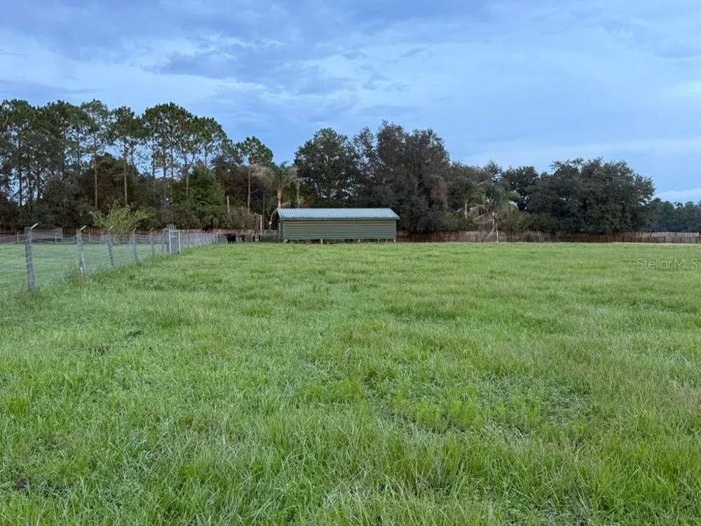 28046 BAYHEAD ROAD Dade City, FL 33523