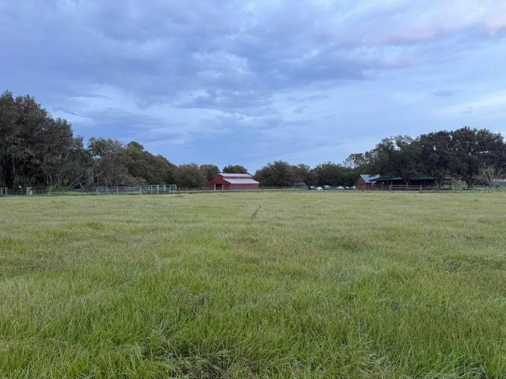 28046 BAYHEAD ROAD Dade City, FL 33523