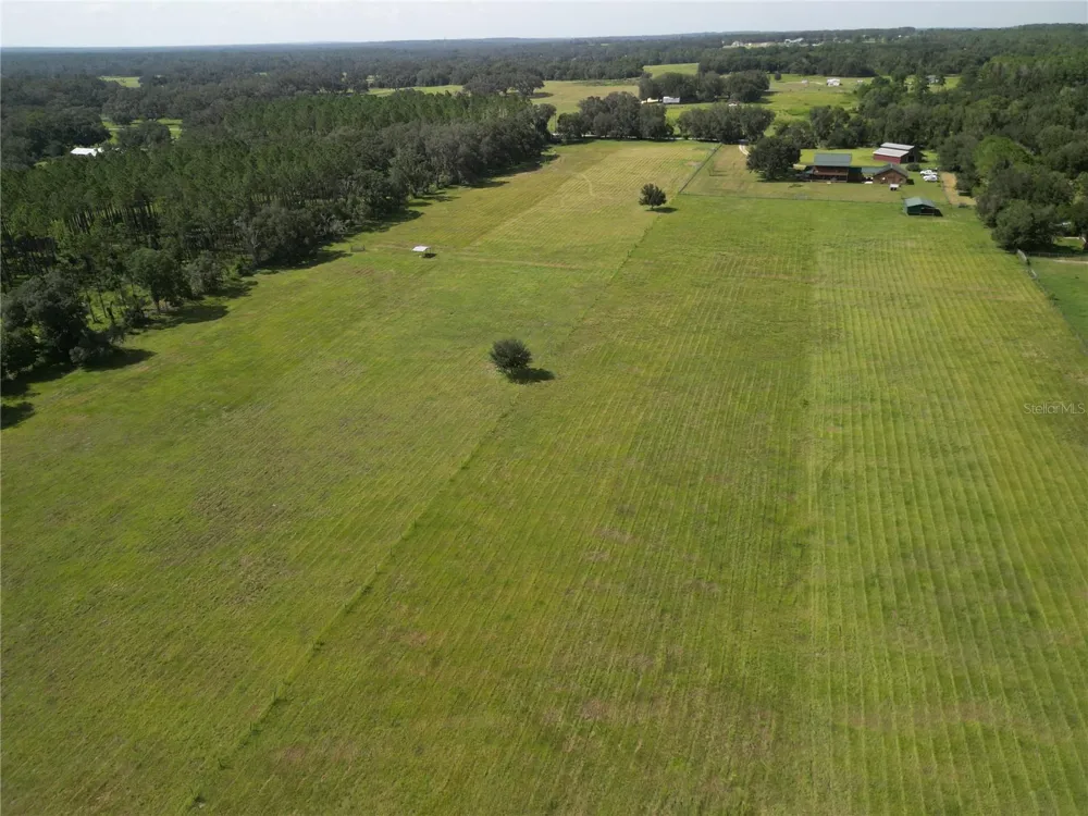 28046 BAYHEAD ROAD Dade City, FL 33523