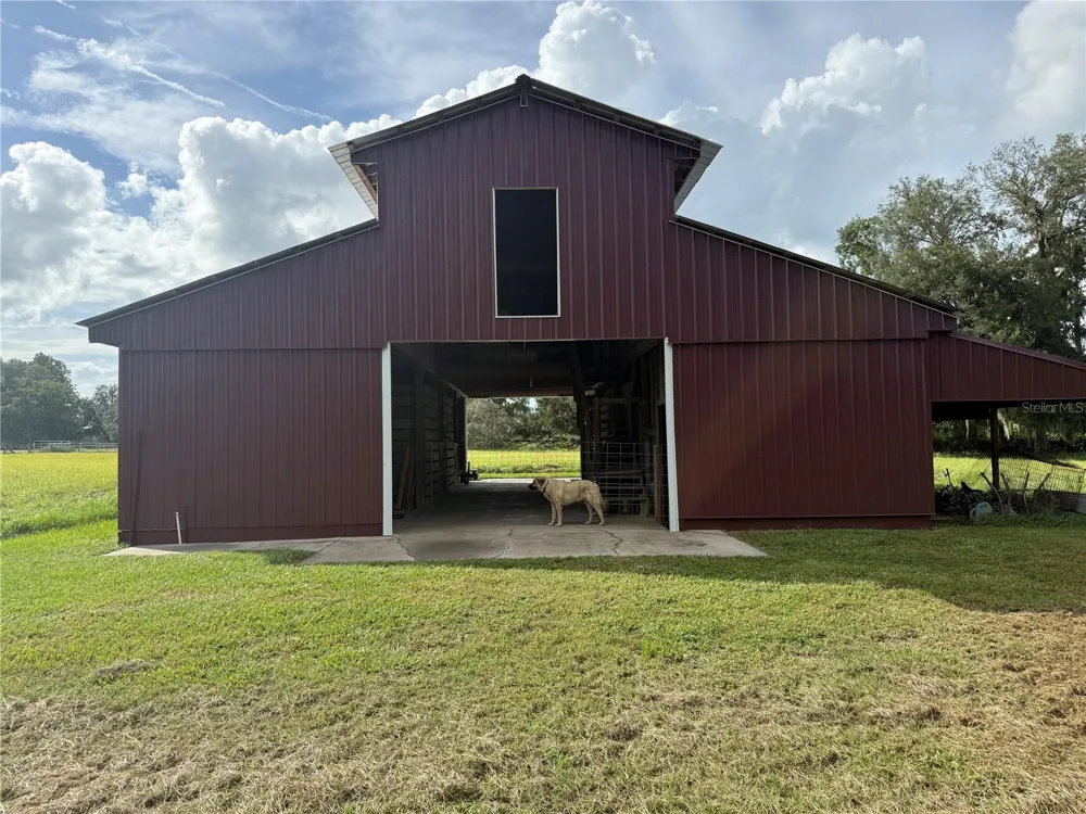 28046 BAYHEAD ROAD Dade City, FL 33523