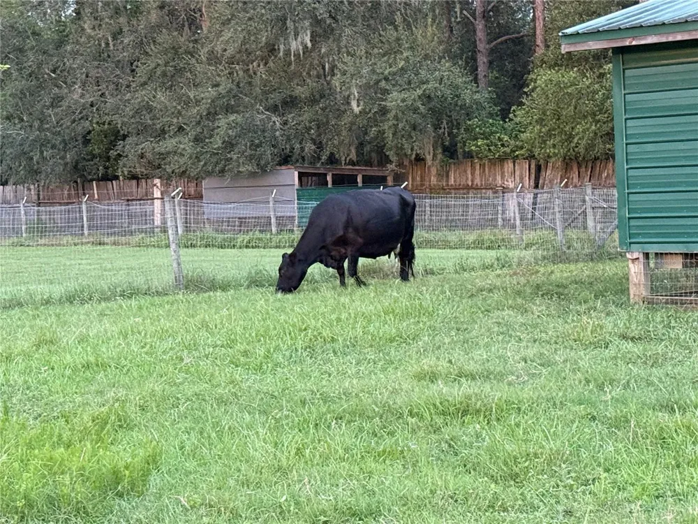 28046 BAYHEAD ROAD Dade City, FL 33523