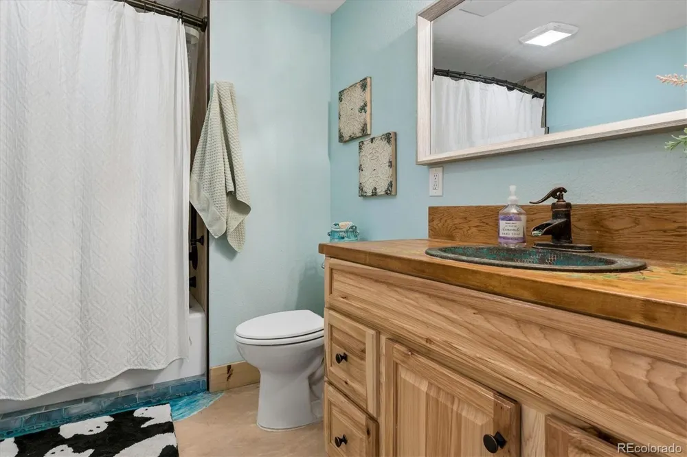 277 S Larkspur Drive Castle Rock, CO 80104