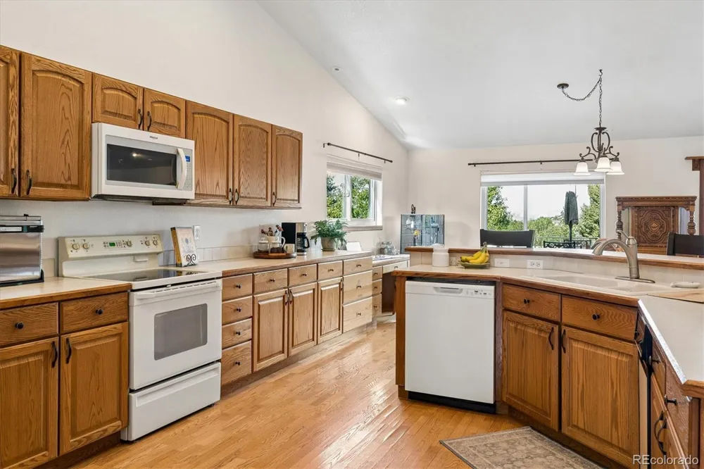 277 S Larkspur Drive Castle Rock, CO 80104
