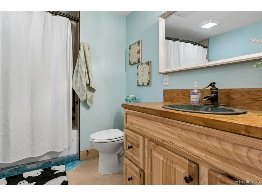 277 S Larkspur Drive Castle Rock, CO 80104
