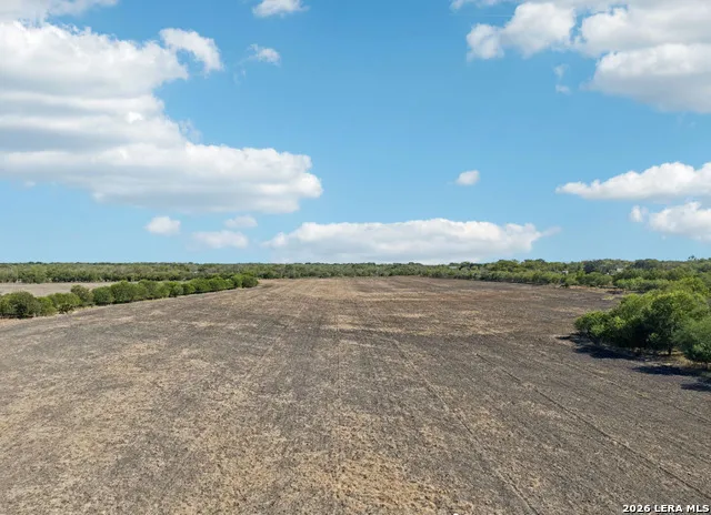 11735 OBRIEN RD Atascosa, TX 78002