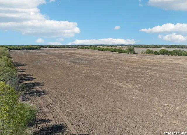 11735 OBRIEN RD Atascosa, TX 78002