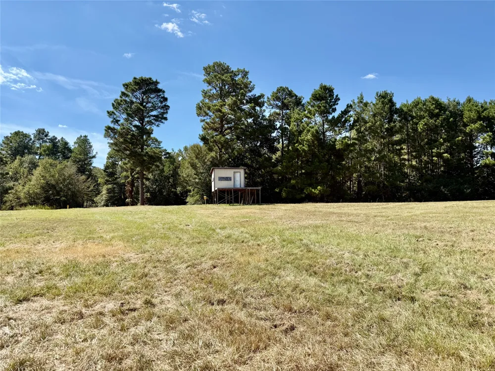 County Road 4025 Lovelady, TX 75851