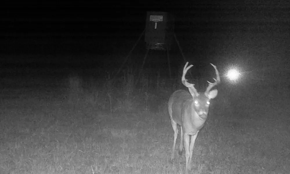 County Road 4025 Lovelady, TX 75851