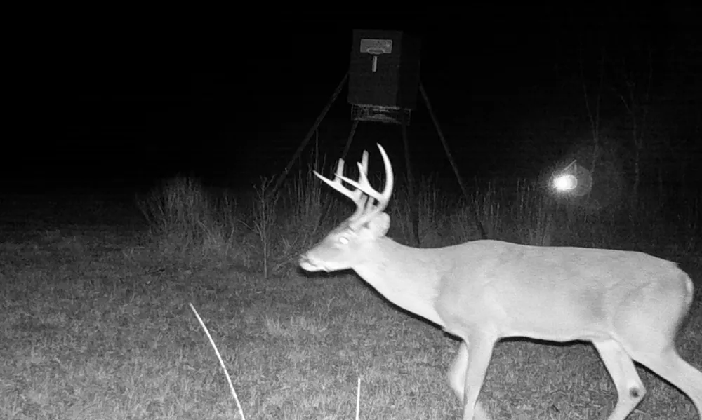 County Road 4025 Lovelady, TX 75851