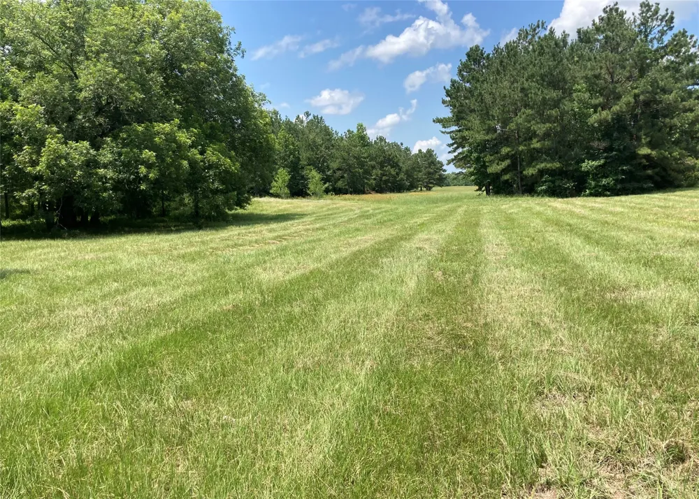County Road 4025 Lovelady, TX 75851
