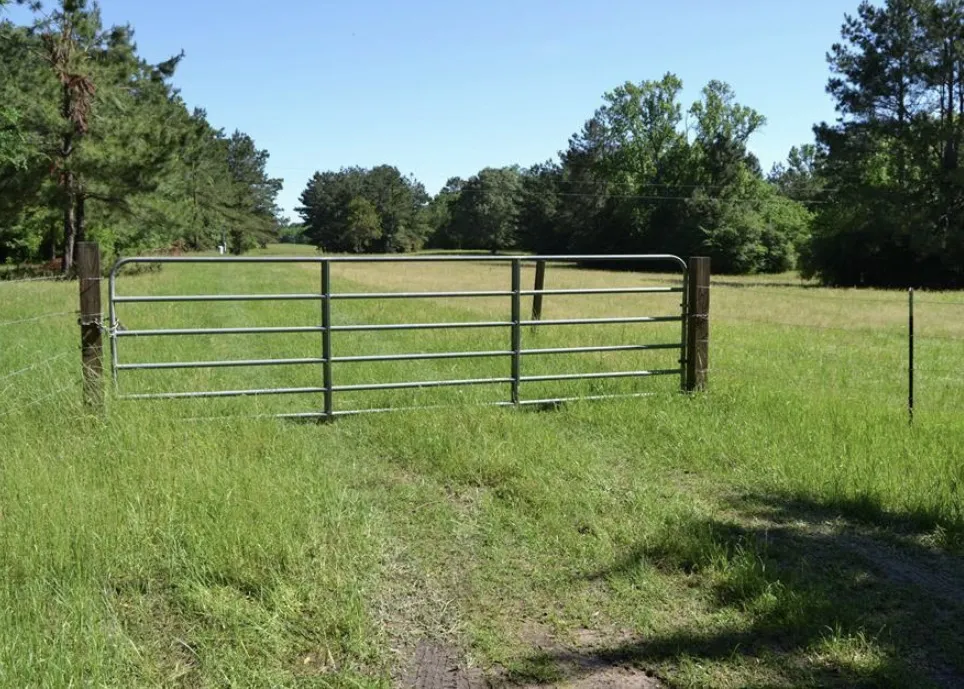 County Road 4025 Lovelady, TX 75851