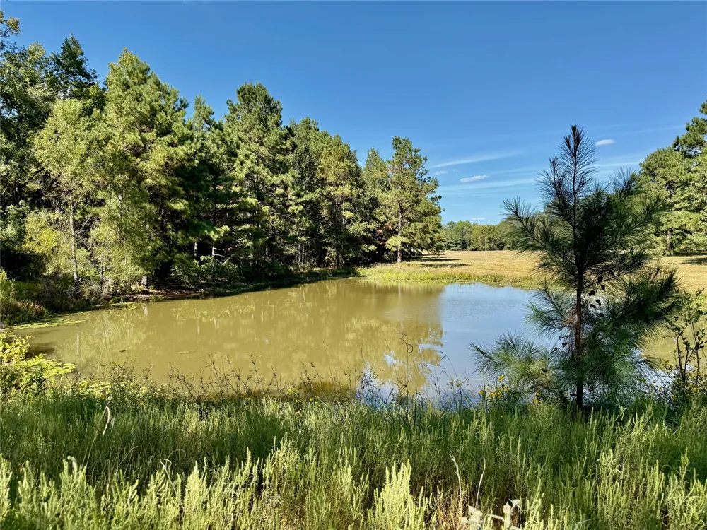 County Road 4025 Lovelady, TX 75851