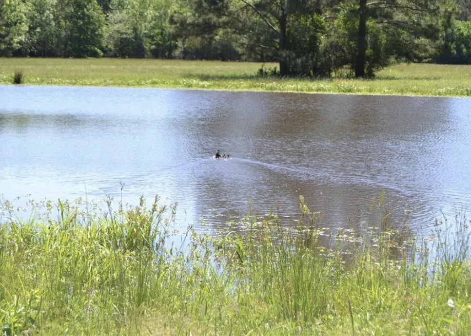 County Road 4025 Lovelady, TX 75851