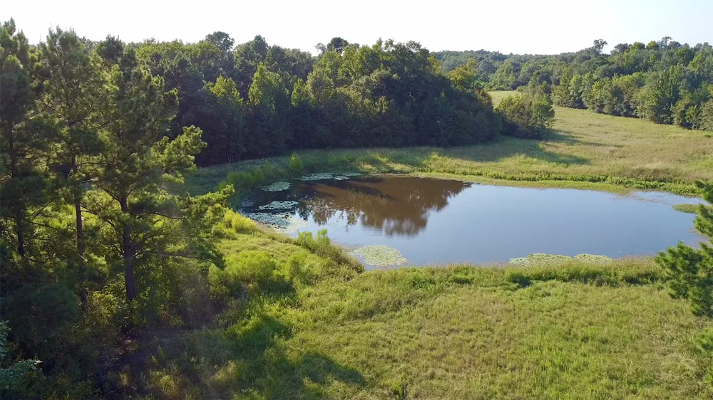 County Road 4025 Lovelady, TX 75851