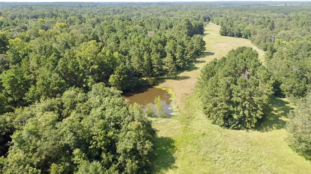 County Road 4025 Lovelady, TX 75851