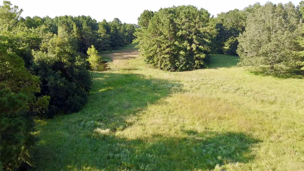 County Road 4025 Lovelady, TX 75851