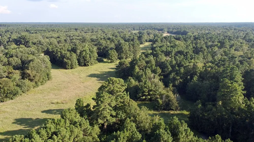County Road 4025 Lovelady, TX 75851