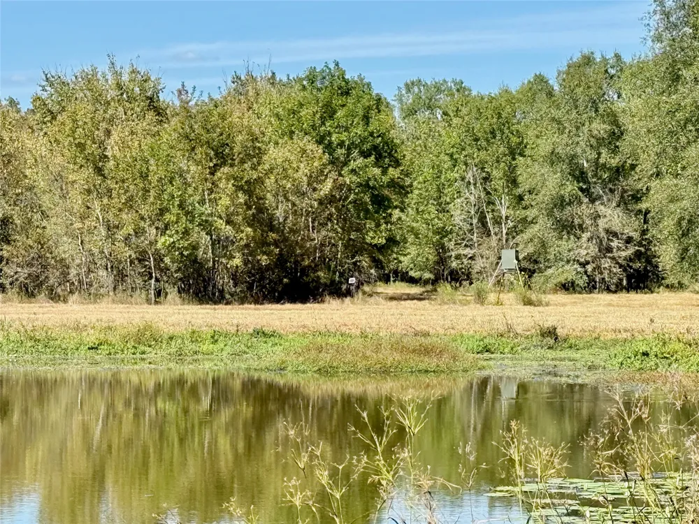 County Road 4025 Lovelady, TX 75851