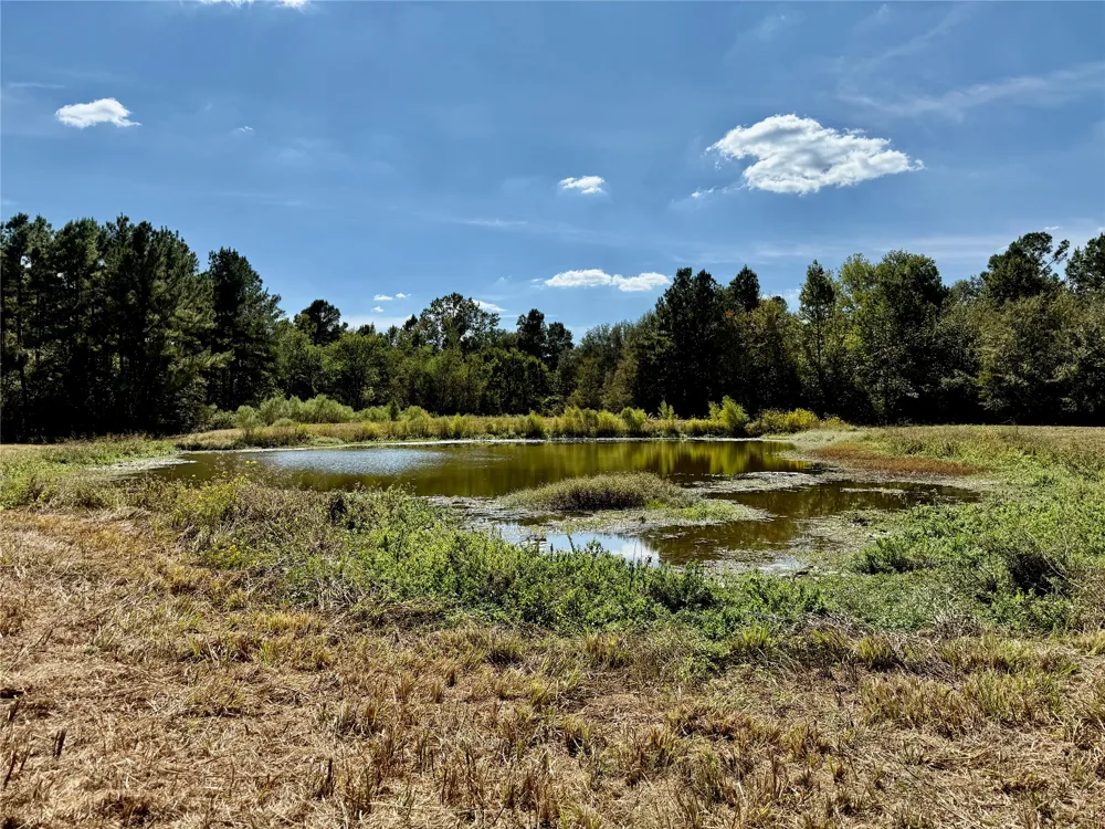 County Road 4025 Lovelady, TX 75851