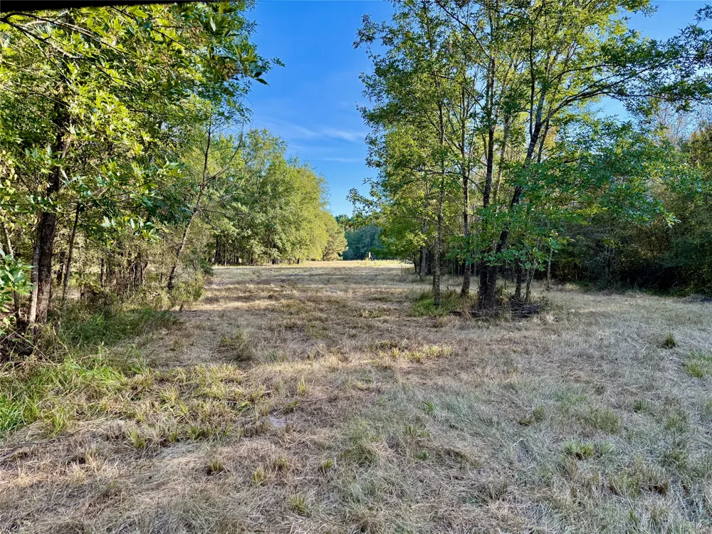 County Road 4025 Lovelady, TX 75851