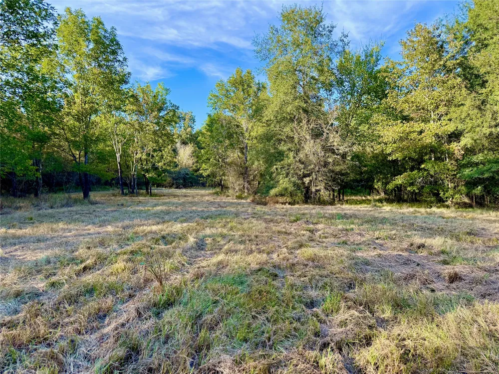 County Road 4025 Lovelady, TX 75851