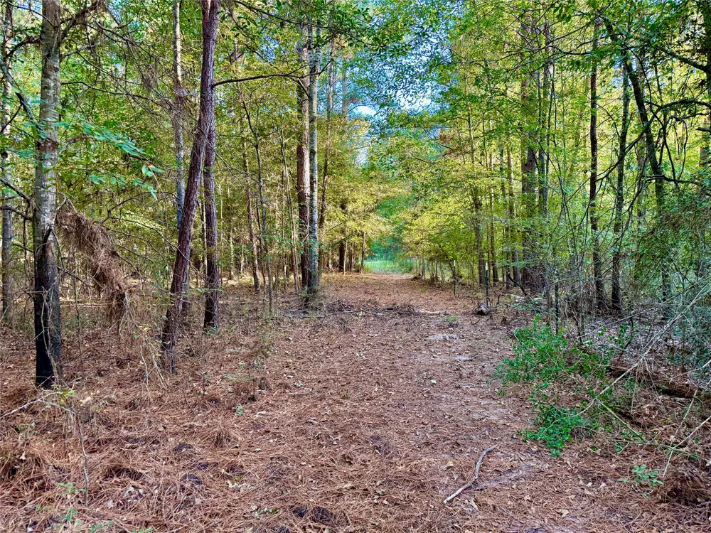 County Road 4025 Lovelady, TX 75851