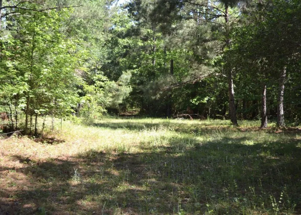County Road 4025 Lovelady, TX 75851